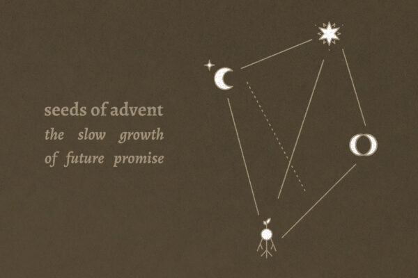 Seeds of Advent sermon series graphic